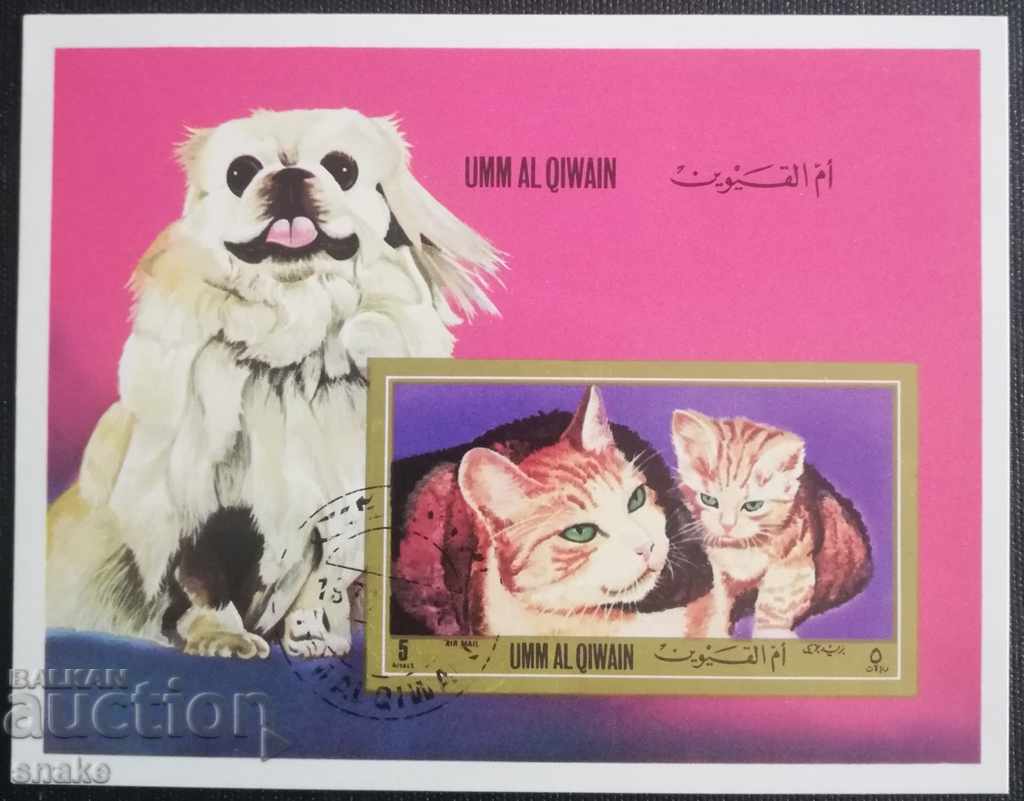 Um Al Quain 1972 - Pisici și câini domestici