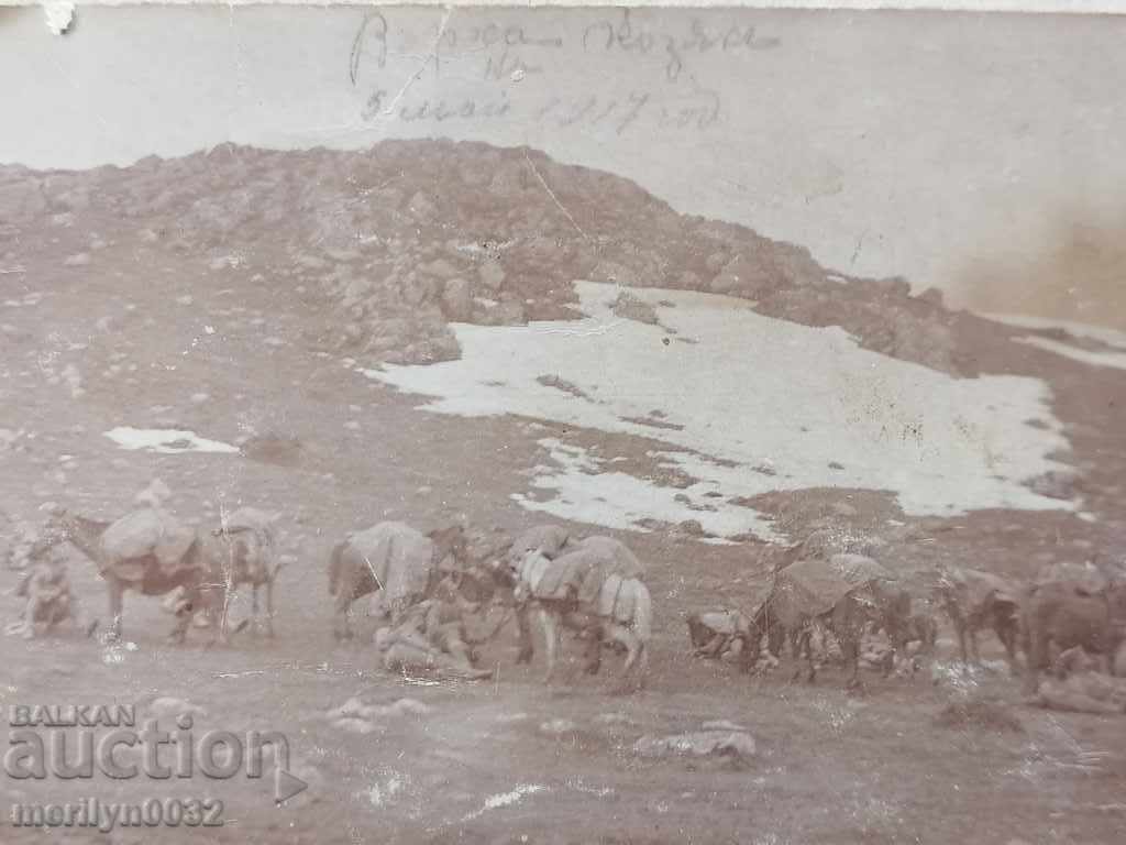 Военна снимка 1917 г Първа Световна WW1 фотография с цена 35.00 лв. | € 17.90 Военна снимка 1917 г Първа Световна WW1 фотография с цена 35.00 лв. | € 17.90