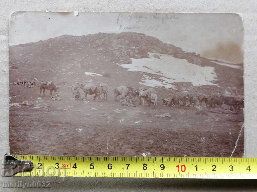 Военна снимка 1917 г Първа Световна WW1 фотография - 7 Военна снимка 1917 г Първа Световна WW1 фотография - 7