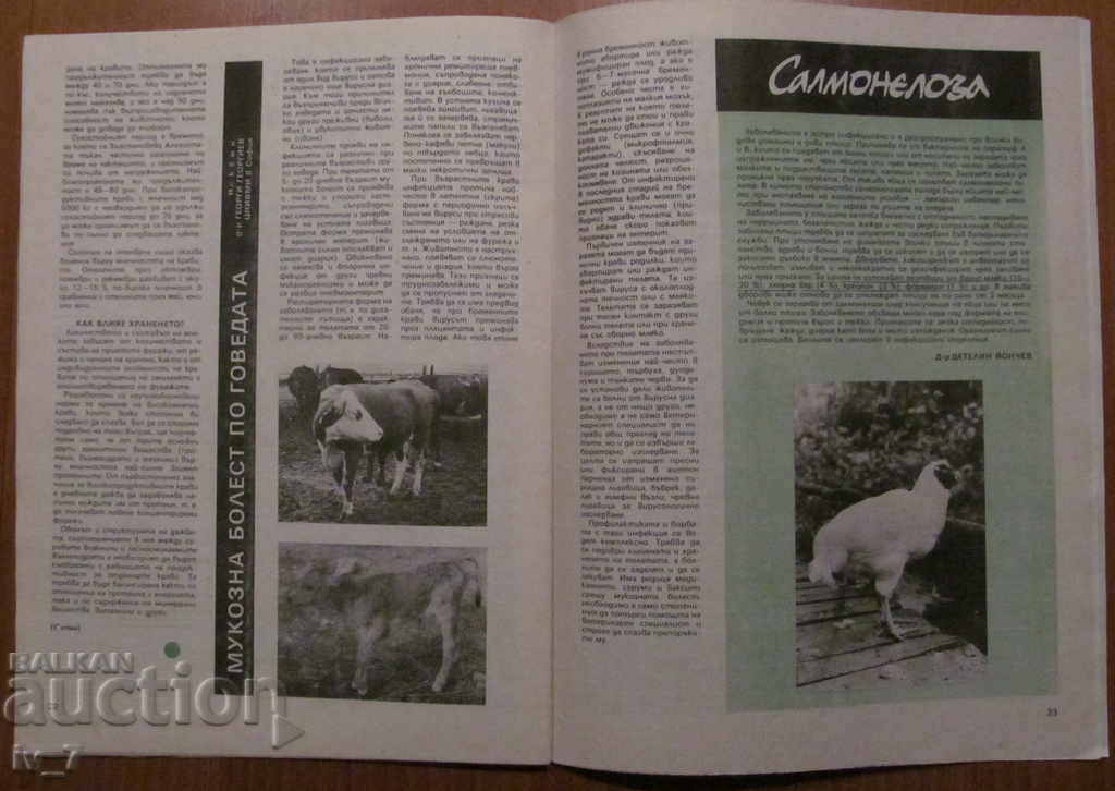 MAGAZINE "PERSONAL AND HELPFUL FARMING" - ISSUE 11, 1989 - 6 MAGAZINE "PERSONAL AND HELPFUL FARMING" - ISSUE 11, 1989 - 6