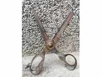 Tailoring German late 19th century scissors Solingen scissors