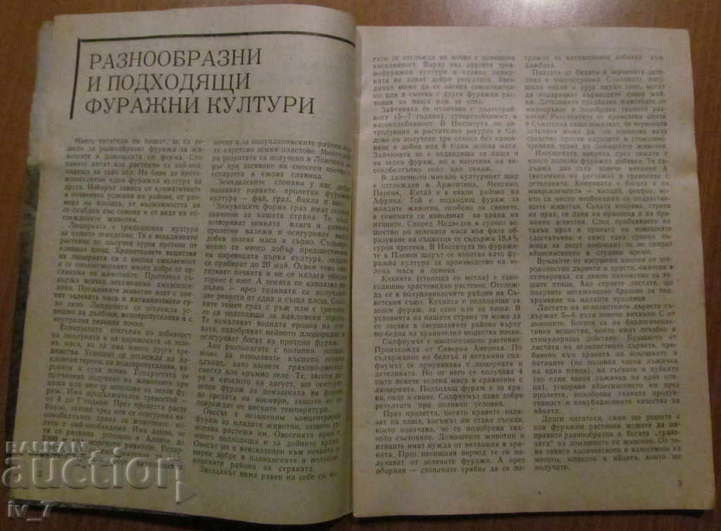 Auction  MAGAZINE "PERSONAL AND HELPFUL ECONOMY" - ISSUE 3, 1987