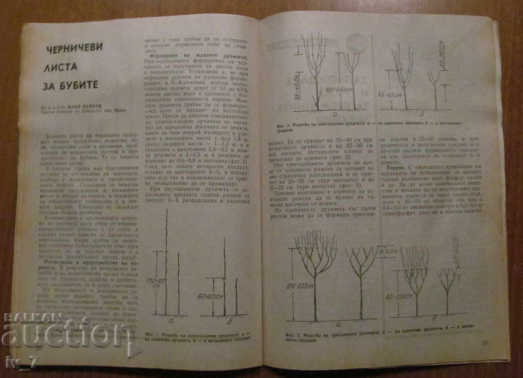 MAGAZINE "PERSONAL AND HELPFUL ECONOMY" - ISSUE 3, 1987 - 6