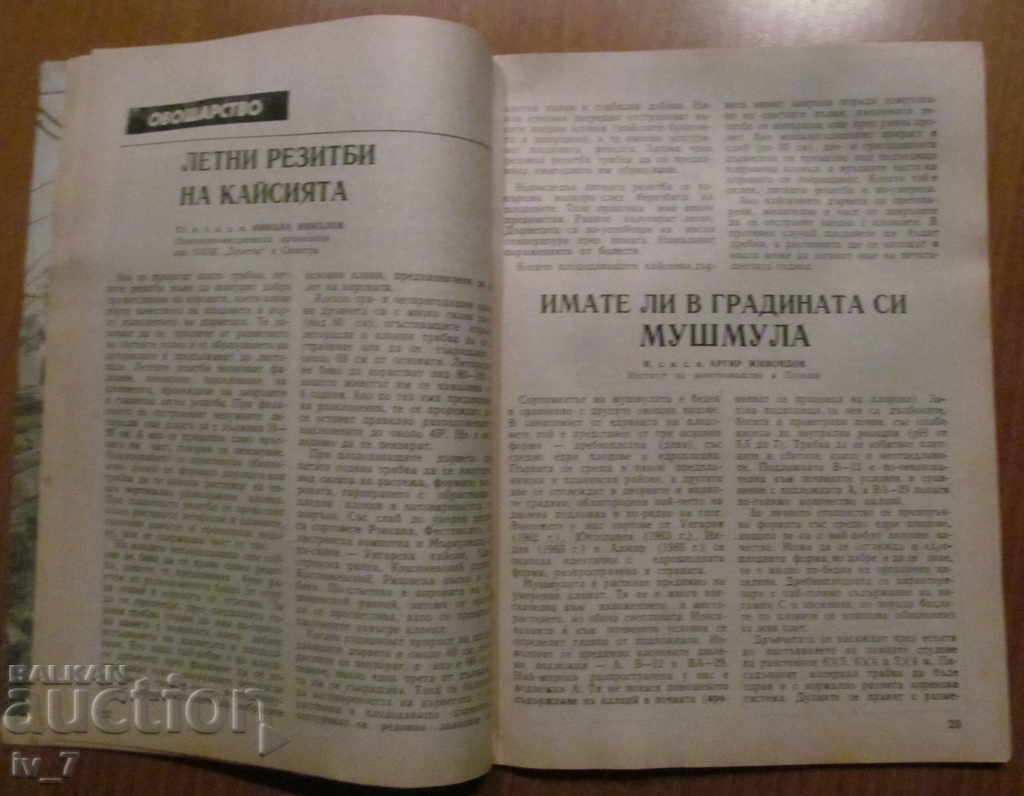 MAGAZINE "PERSONAL AND HELPFUL ECONOMY" - ISSUE 5, 1987 - 5 MAGAZINE "PERSONAL AND HELPFUL ECONOMY" - ISSUE 5, 1987 - 5