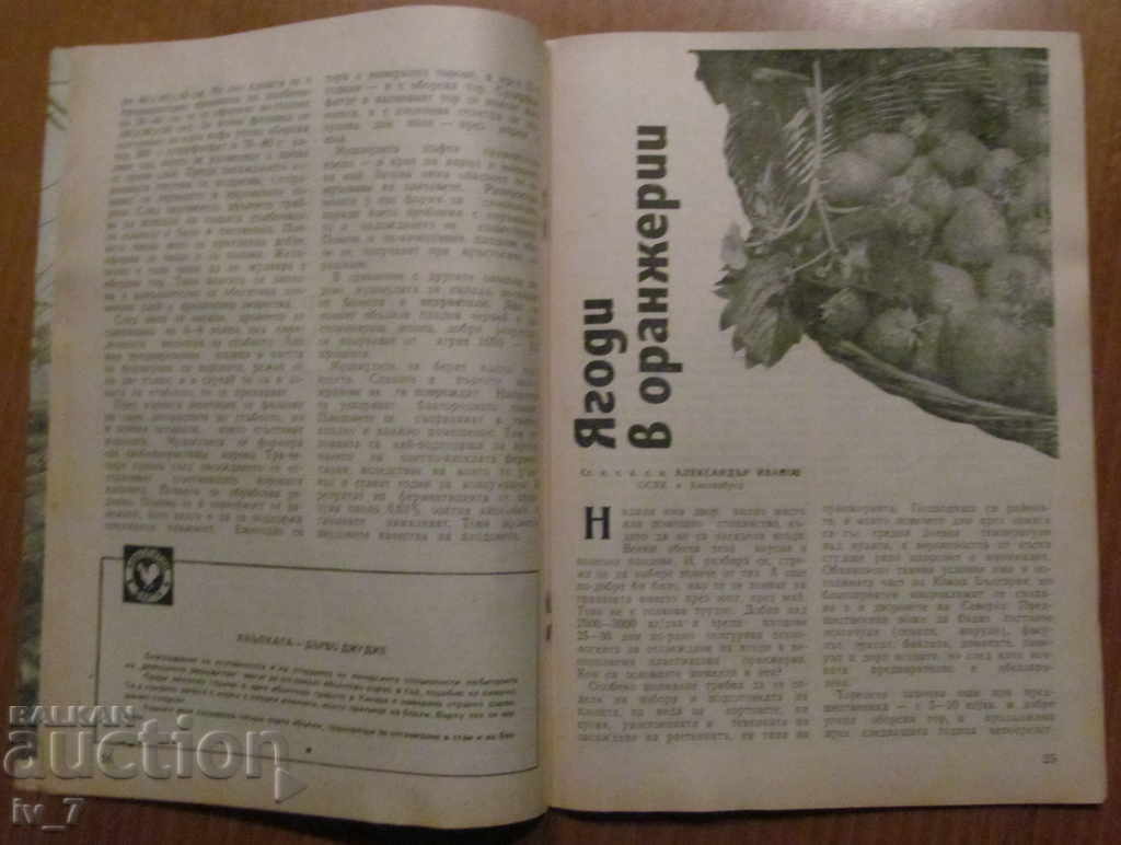 MAGAZINE "PERSONAL AND HELPFUL ECONOMY" - ISSUE 5, 1987 - 6 MAGAZINE "PERSONAL AND HELPFUL ECONOMY" - ISSUE 5, 1987 - 6