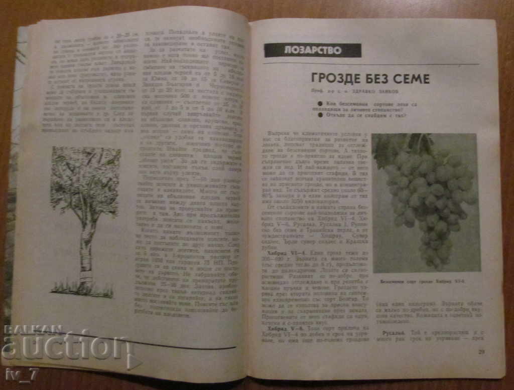 MAGAZINE "PERSONAL AND HELPFUL ECONOMY" - ISSUE 5, 1987 - 7 MAGAZINE "PERSONAL AND HELPFUL ECONOMY" - ISSUE 5, 1987 - 7