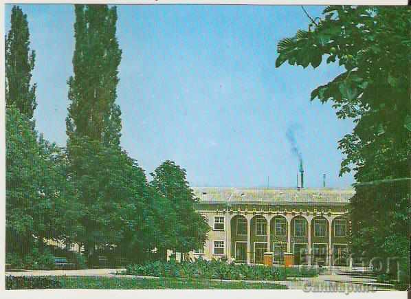 Card Bulgaria Pavel banya The park of the sanatorium *