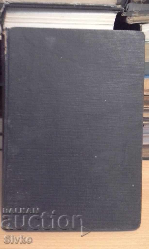 The little shipwrecked from the Titanic - 5 The little shipwrecked from the Titanic - 5