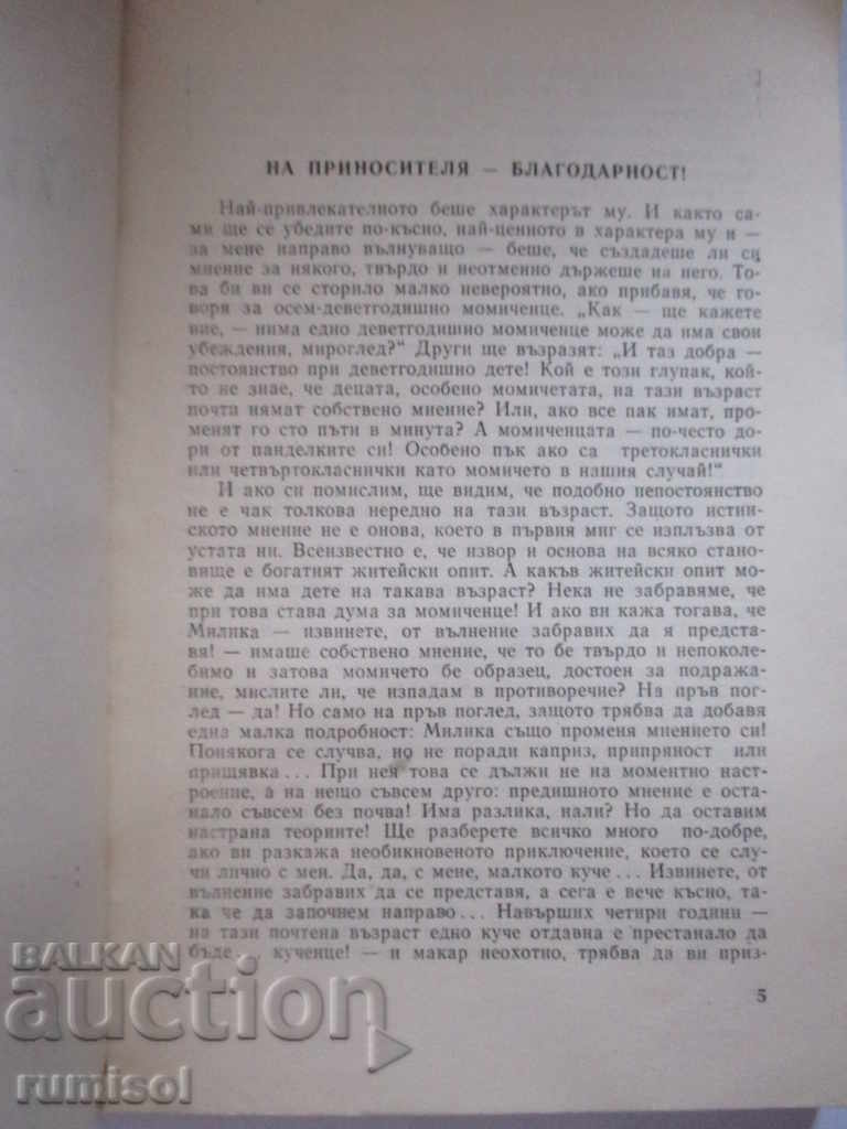 Delivery of Marinika The Watchful Eye - Mircea Santimbranu Delivery of Marinika The Watchful Eye - Mircea Santimbranu