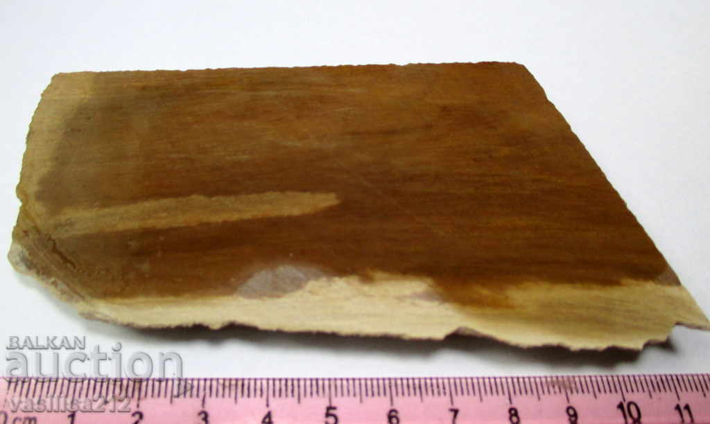 Παράδοση Απολιθωμένο ξύλο, κομμένο Παράδοση Απολιθωμένο ξύλο, κομμένο