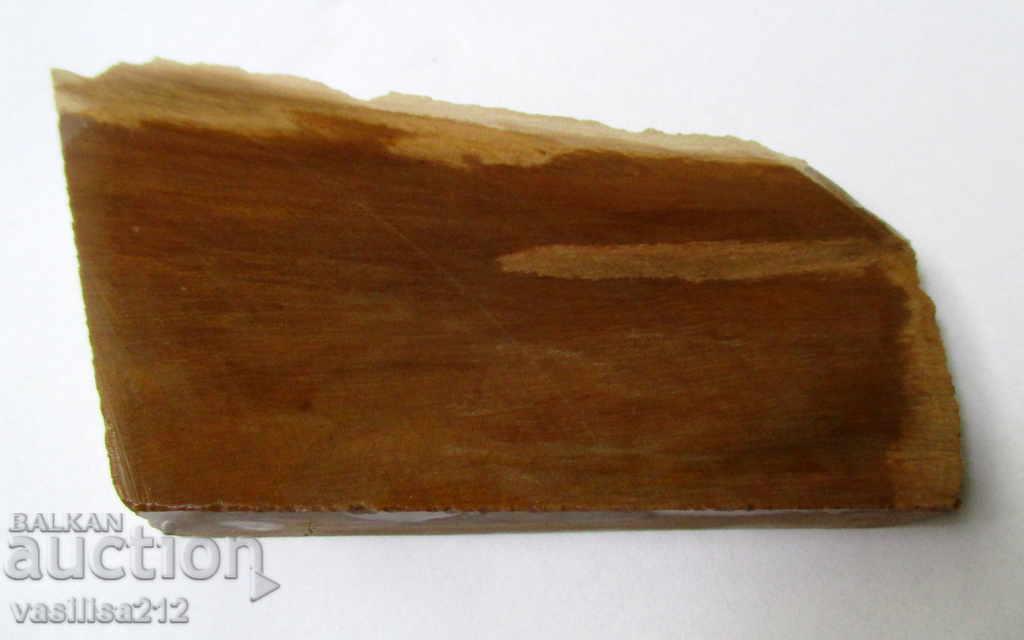 Petrified wood, cut