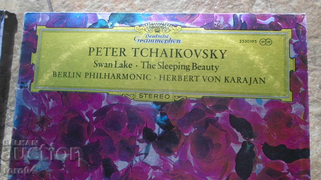 Peter Tchaikovsky with price 19.99 BGN | € 10.22