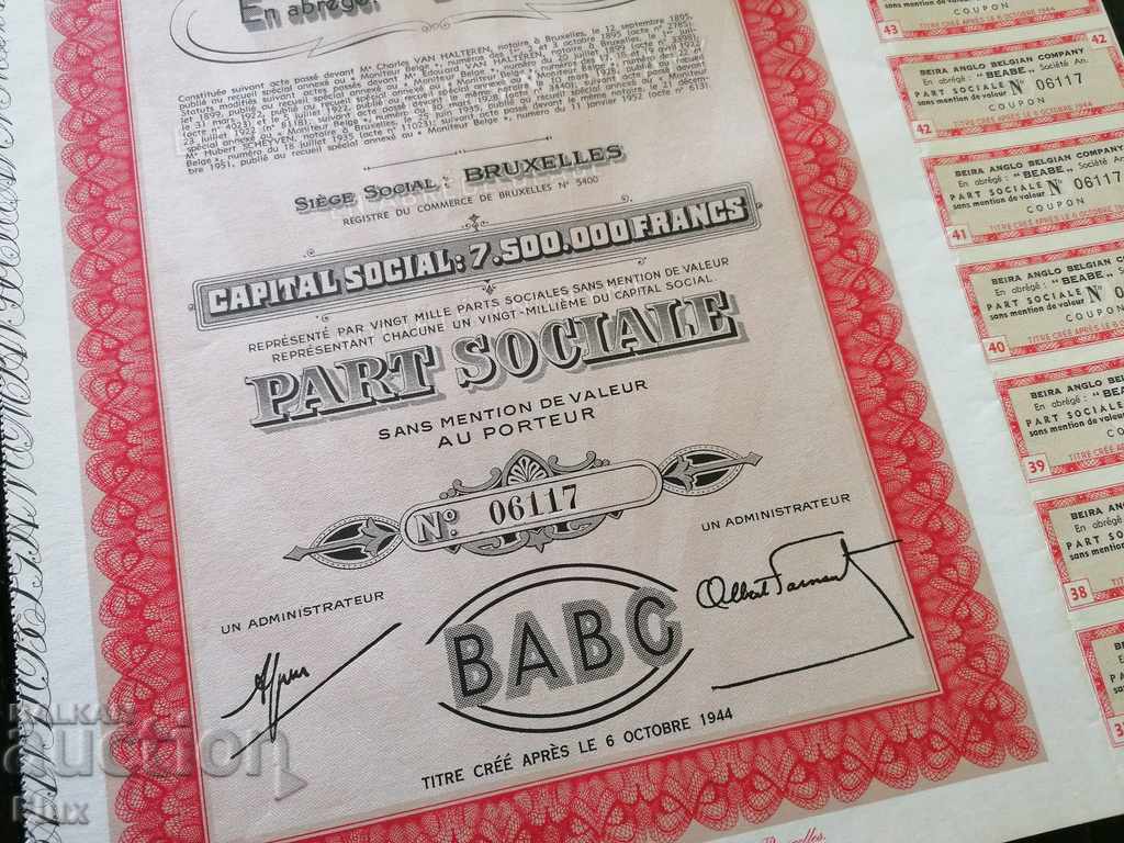 Auction Action from Belgium Beira Anglo Belgian Company | 1944 Auction Action from Belgium Beira Anglo Belgian Company | 1944