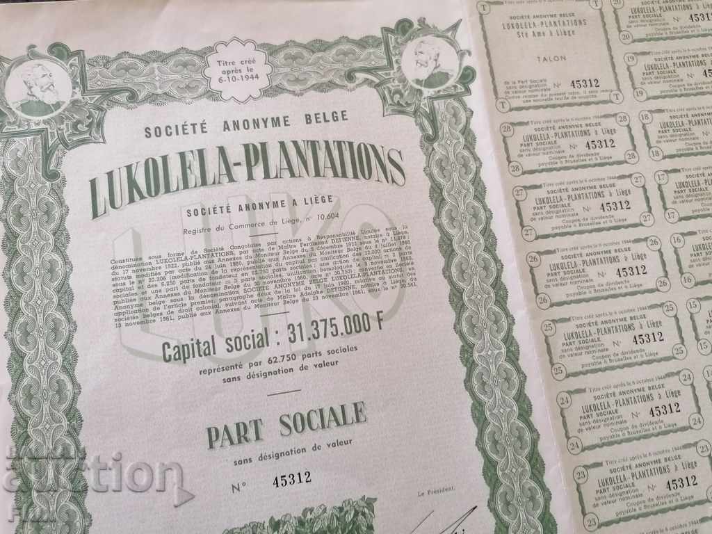 Acțiune din Belgia Lukolela - Plantații 1944 cu preț 23.00 BGN | € 11.76