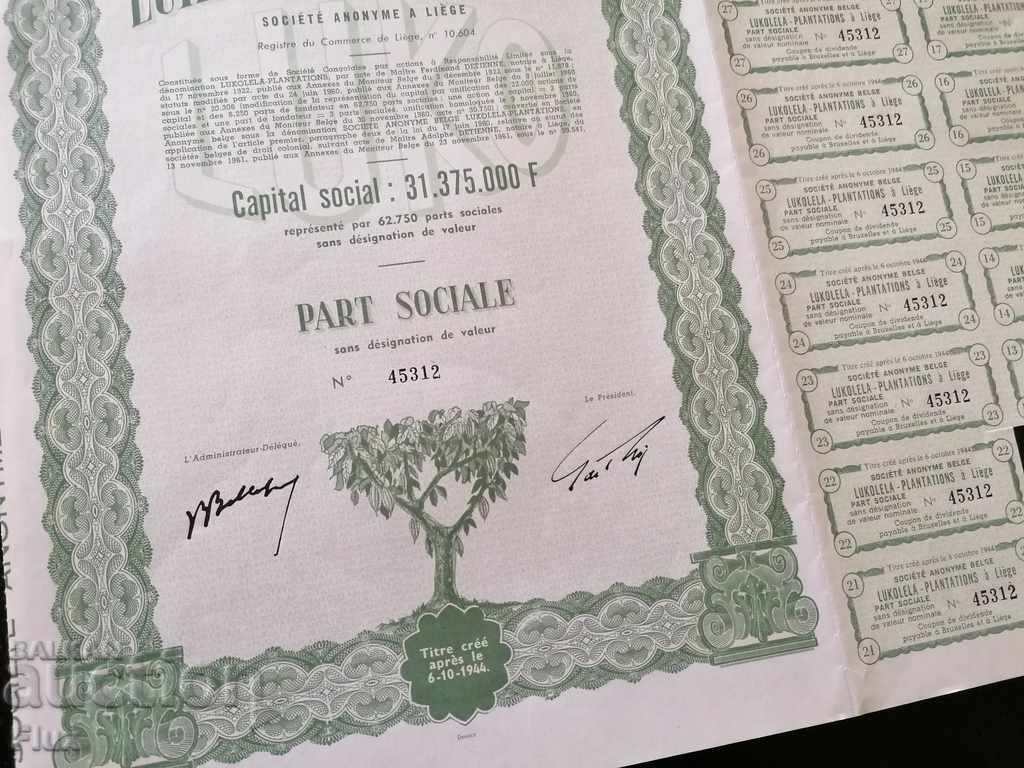 Licitație Acțiune din Belgia Lukolela - Plantații 1944