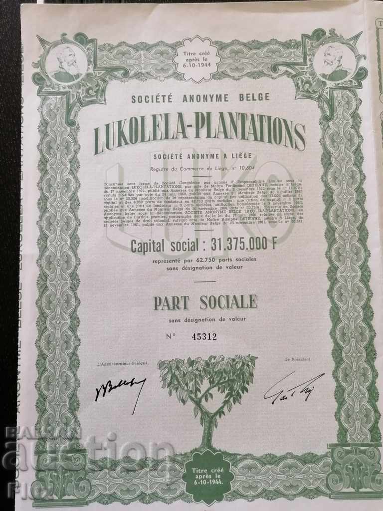Livrarea Acțiune din Belgia Lukolela - Plantații 1944