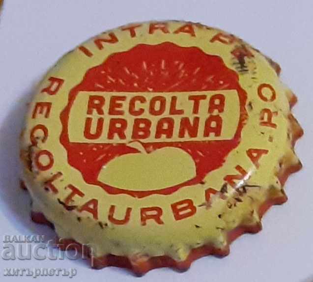 Capacica Cider Recolta Urbana Romania