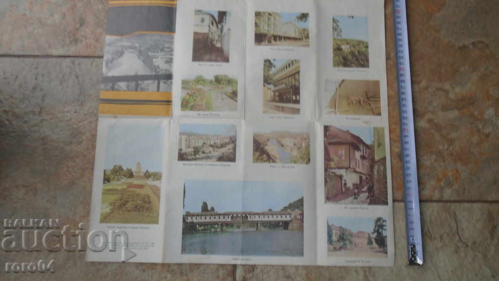 Auction LOVECH Auction LOVECH