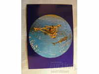 Card - Varna The Dolphinarium
