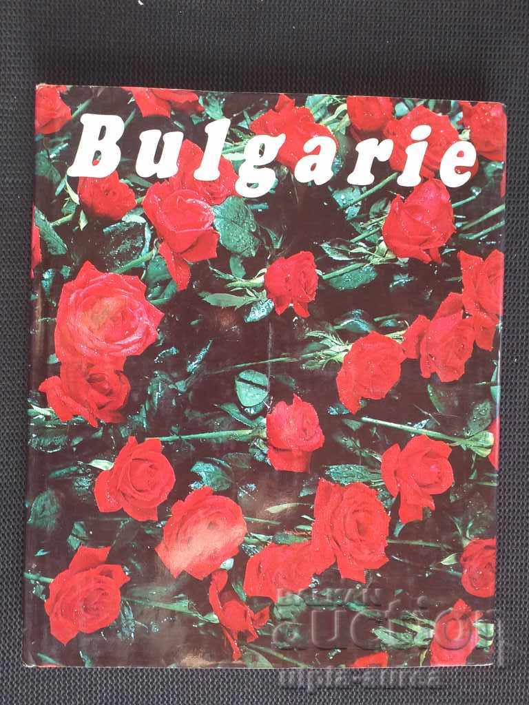 Bulgaria Publicitate Socială Turism