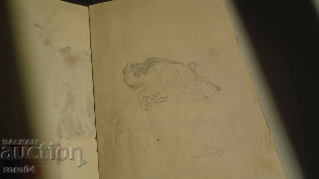 THE ERROR OF THE LONELY BISON - D. SCHULZ with price 25.00 BGN | € 12.78 THE ERROR OF THE LONELY BISON - D. SCHULZ with price 25.00 BGN | € 12.78