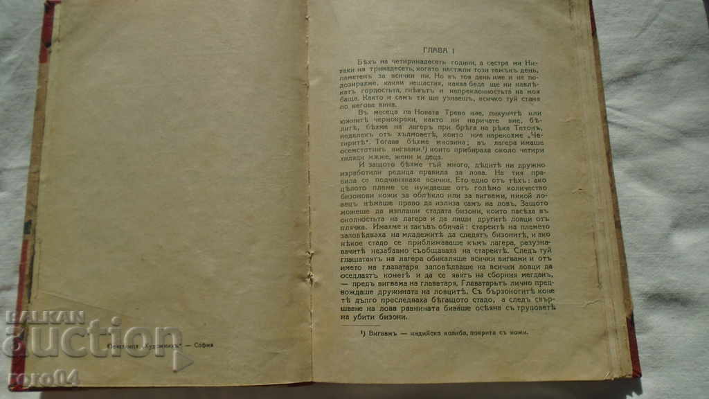 Delivery of THE ERROR OF THE LONELY BISON - D. SCHULZ Delivery of THE ERROR OF THE LONELY BISON - D. SCHULZ