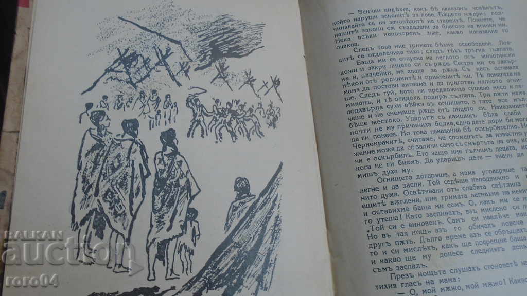 THE ERROR OF THE LONELY BISON - D. SCHULZ - 5 THE ERROR OF THE LONELY BISON - D. SCHULZ - 5