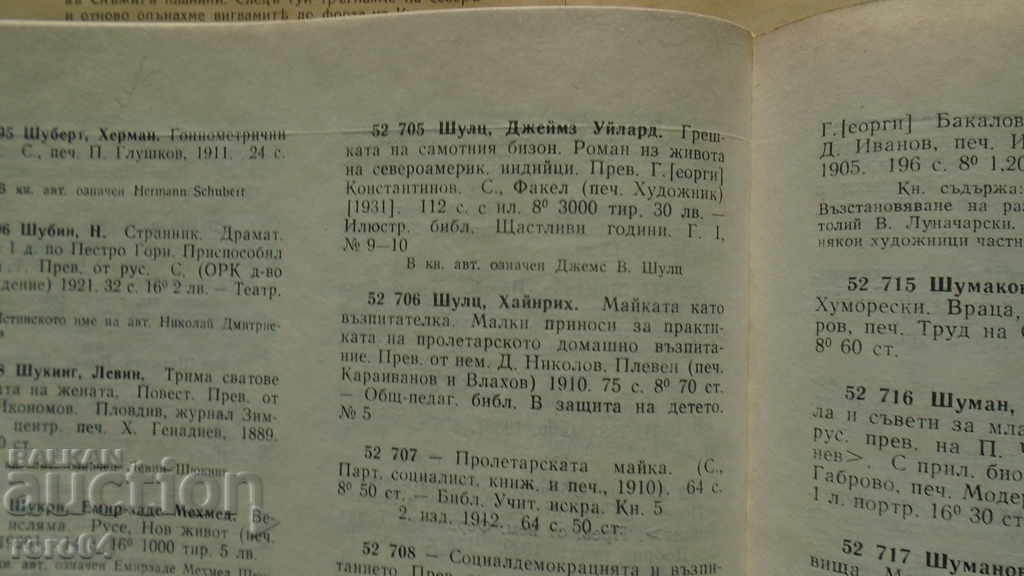 THE ERROR OF THE LONELY BISON - D. SCHULZ - 7 THE ERROR OF THE LONELY BISON - D. SCHULZ - 7