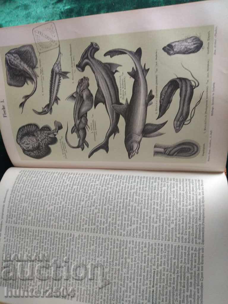 Encyclopedia - 1894, 1050 pages with price € 9.95 | 19.46 BGN