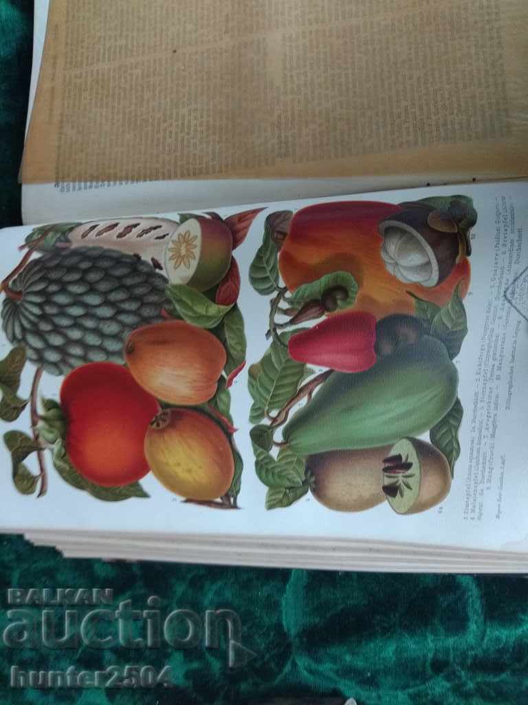 Доставка на Енциклопедияe-1894 г.1050стр. Доставка на Енциклопедияe-1894 г.1050стр.