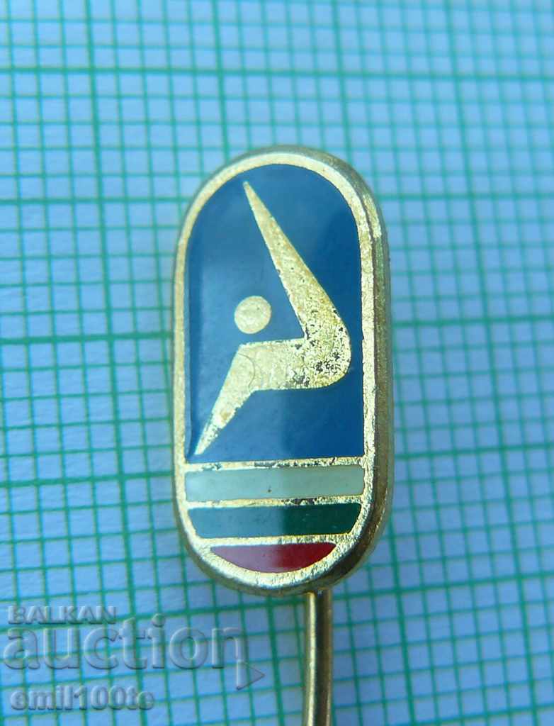 Badge - Federation of Sports Gymnastics