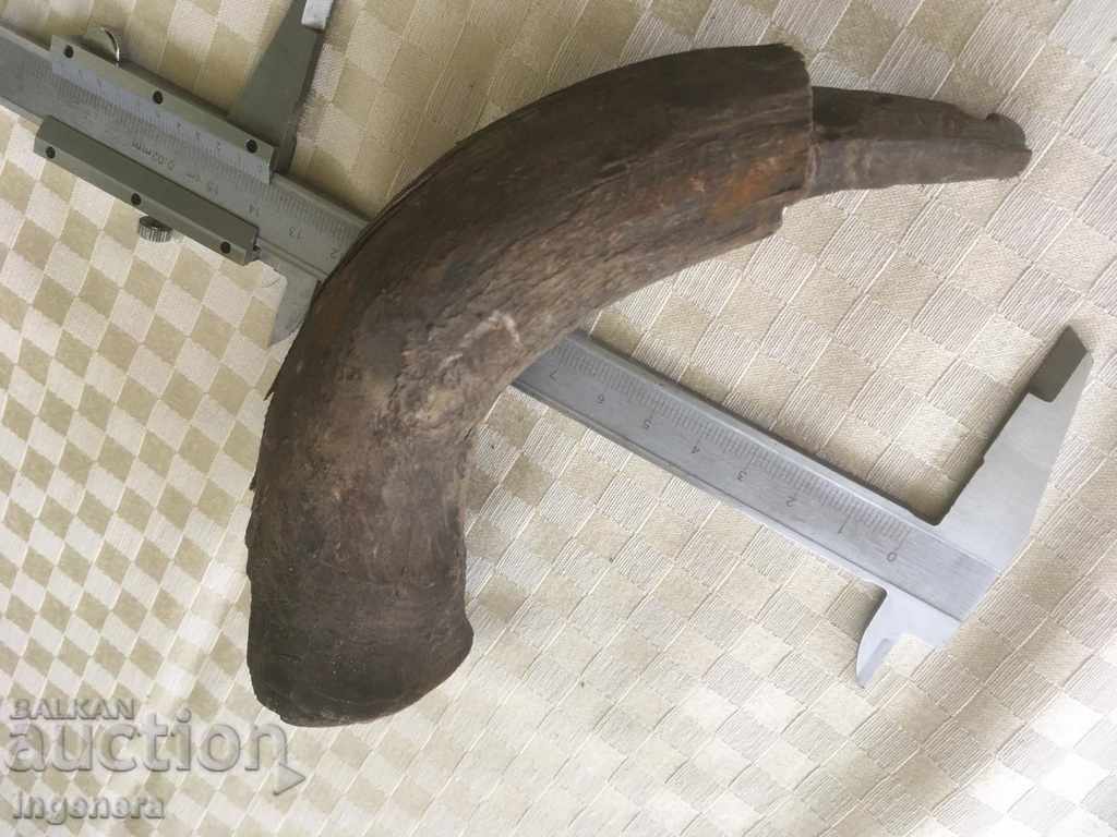 Auction HORRIBLE OR INTERIOR Auction HORRIBLE OR INTERIOR