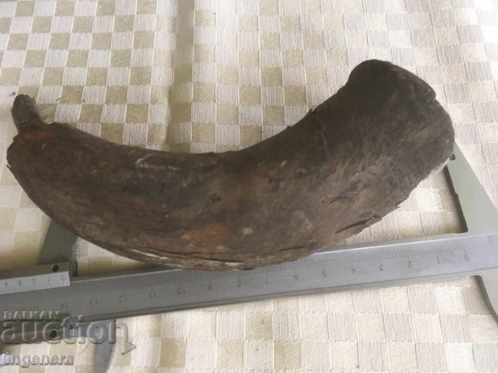 HORRIBLE OR INTERIOR - 5 HORRIBLE OR INTERIOR - 5