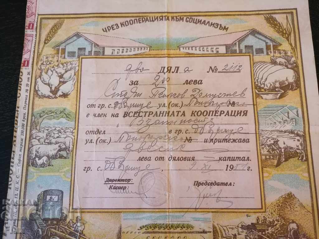 2 shares for BGN 200 Comprehensive co-operation "Reciprocity" 1951 with price 15.00 BGN | € 7.67 2 shares for BGN 200 Comprehensive co-operation "Reciprocity" 1951 with price 15.00 BGN | € 7.67