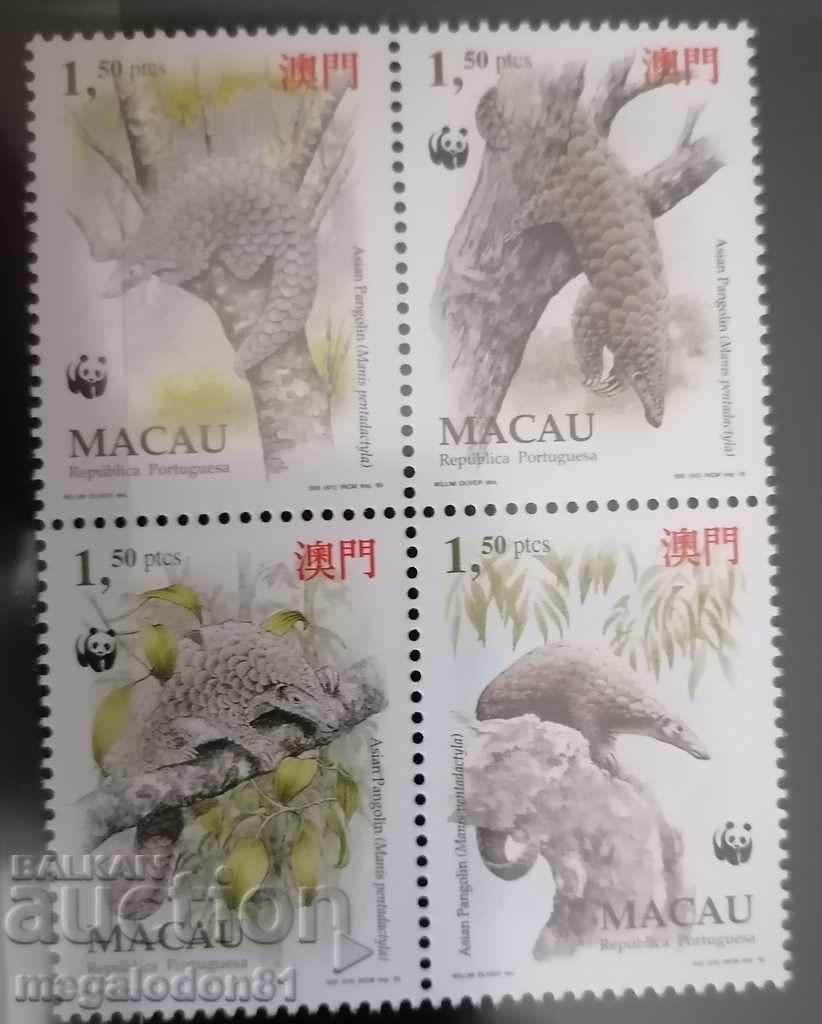 Macau - Asian pangolin, WWF