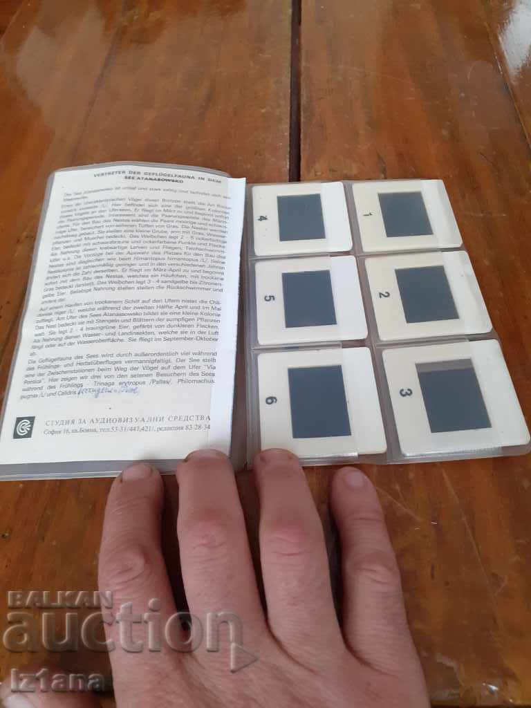 Auction Old slides Atanasovsko Lake, Bird Fauna Auction Old slides Atanasovsko Lake, Bird Fauna