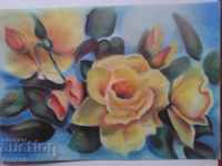 Yellow roses, JL Mladenova
