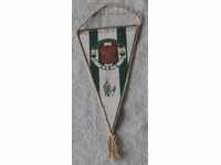 FC FOOTBALL CARPATHIANS LVIV UKRAINE FLAG