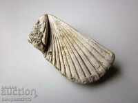 FOSSIL - VERY RARE AND BEAUTIFUL.