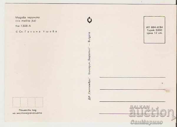 Card Bulgaria Honey iris * with price 0.70 BGN | € 0.36 Card Bulgaria Honey iris * with price 0.70 BGN | € 0.36