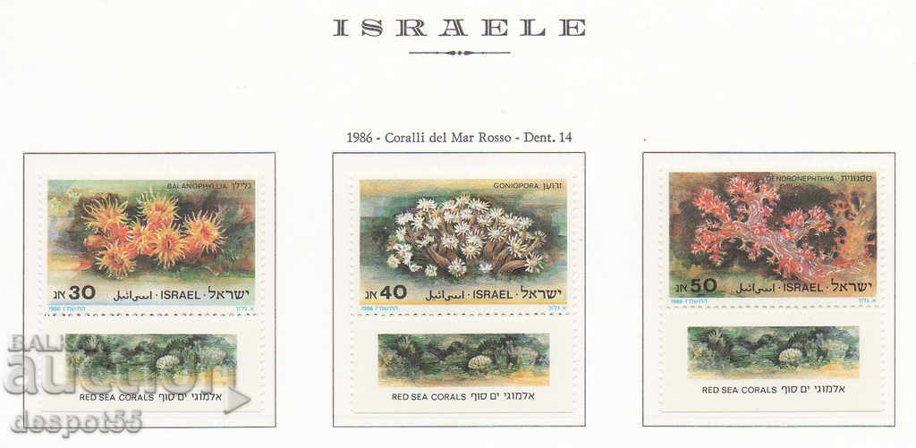 1986. Israel. Corals from the Red Sea.