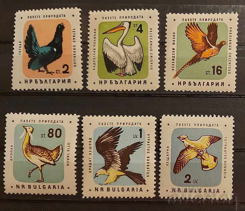 Bulgaria 1961 Faună / Animale / Păsări MNH