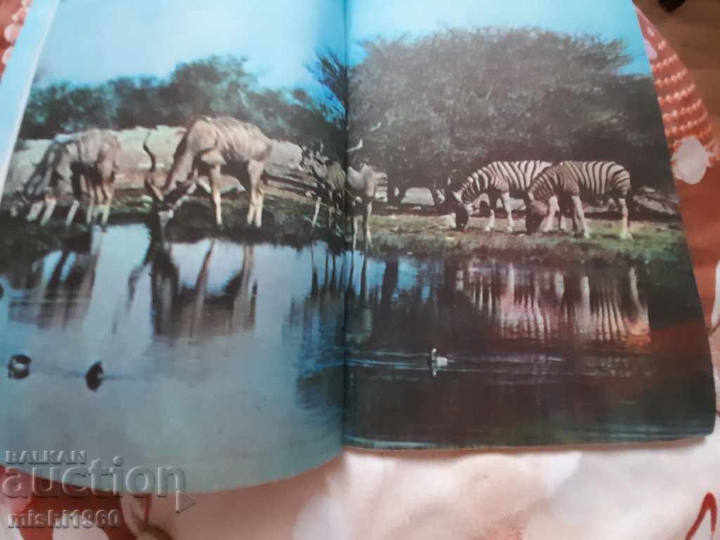 Animale din Africa cu preț 3.00 BGN | € 1.53 Animale din Africa cu preț 3.00 BGN | € 1.53