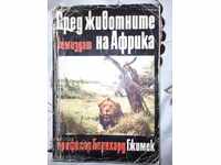 Ζώα της Αφρικής