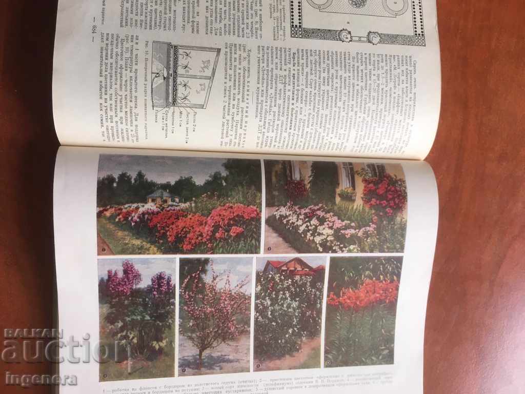 Auction BOOK-ENCYCLOPEDIA OF ILLUSTRATIONS HOUSE GARDEN-RUSSIAN LANGUAGE-1959 Auction BOOK-ENCYCLOPEDIA OF ILLUSTRATIONS HOUSE GARDEN-RUSSIAN LANGUAGE-1959