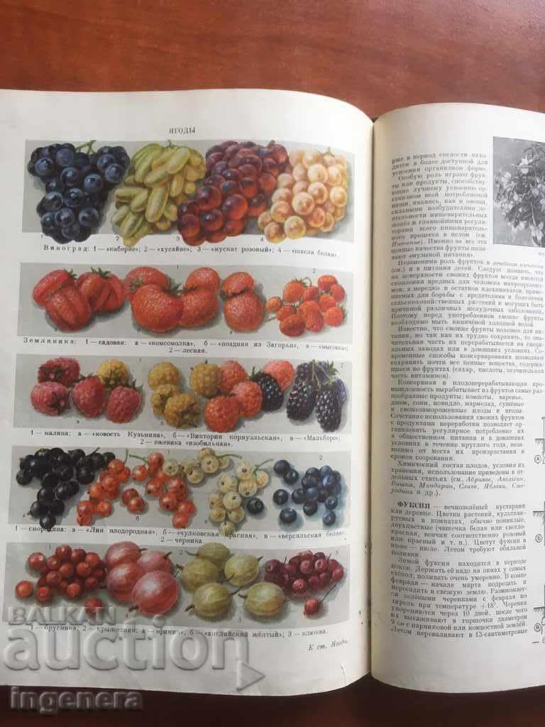 BOOK-ENCYCLOPEDIA OF ILLUSTRATIONS HOUSE GARDEN-RUSSIAN LANGUAGE-1959 - 5 BOOK-ENCYCLOPEDIA OF ILLUSTRATIONS HOUSE GARDEN-RUSSIAN LANGUAGE-1959 - 5