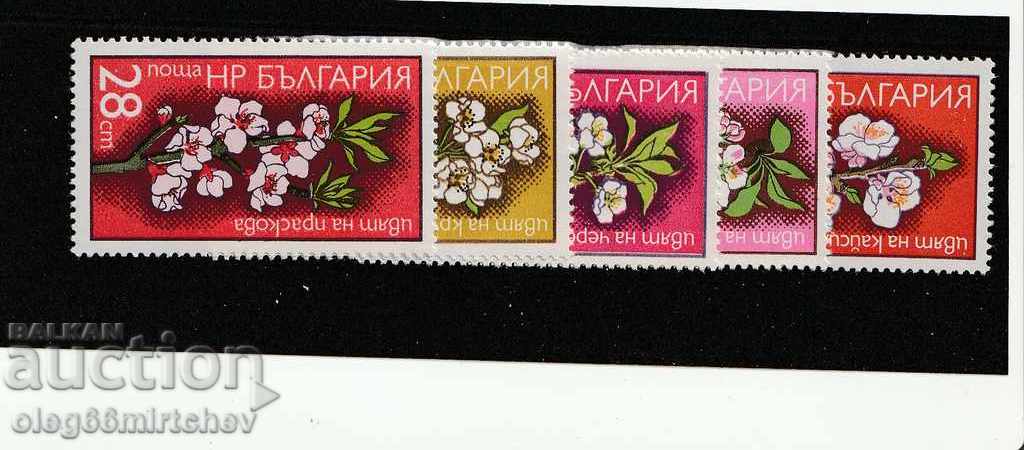 Bulgaria 1975 Flowers BK№ 2449/53 clean