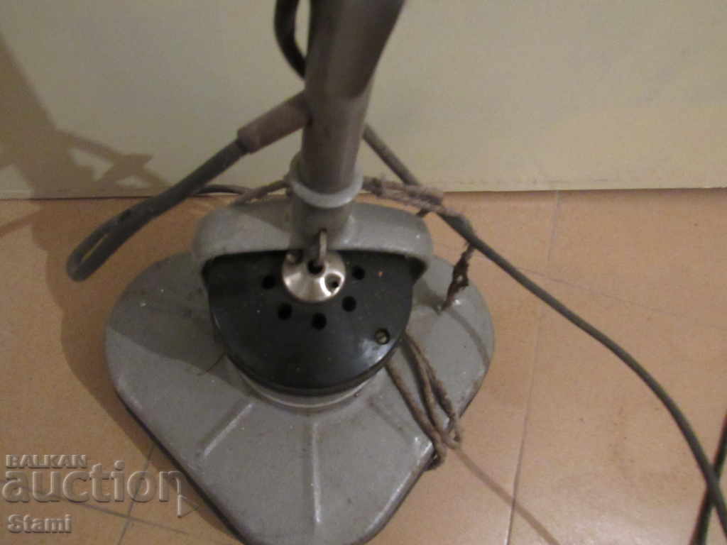 An old parrot from the time of the wife. - 6 An old parrot from the time of the wife. - 6