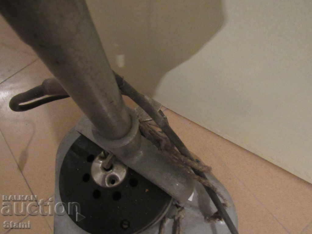 An old parrot from the time of the wife. - 7 An old parrot from the time of the wife. - 7