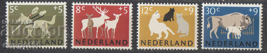 1964. The Netherlands. Charity series.